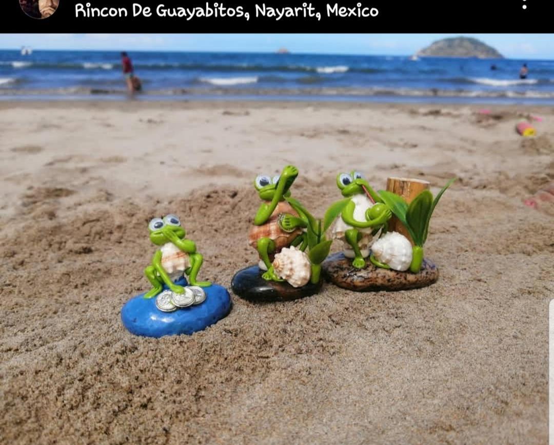 Princeza Guayabitos Inn